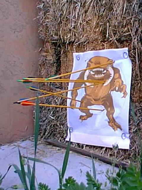 archery instruction